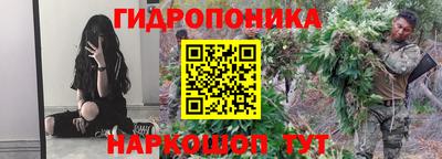 гашик Обь