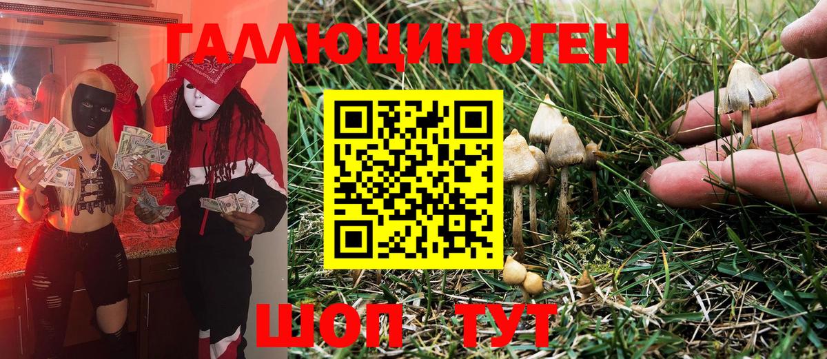 Сергиев Посад  Галлюциногенные грибы Magic Shrooms  Вход с VPN 