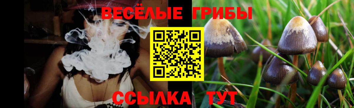 Кодеин Сергиев Посад